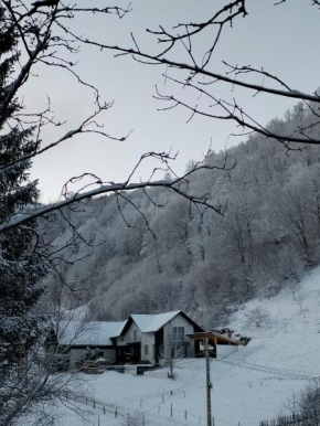 Vibe House Madisson Braşov